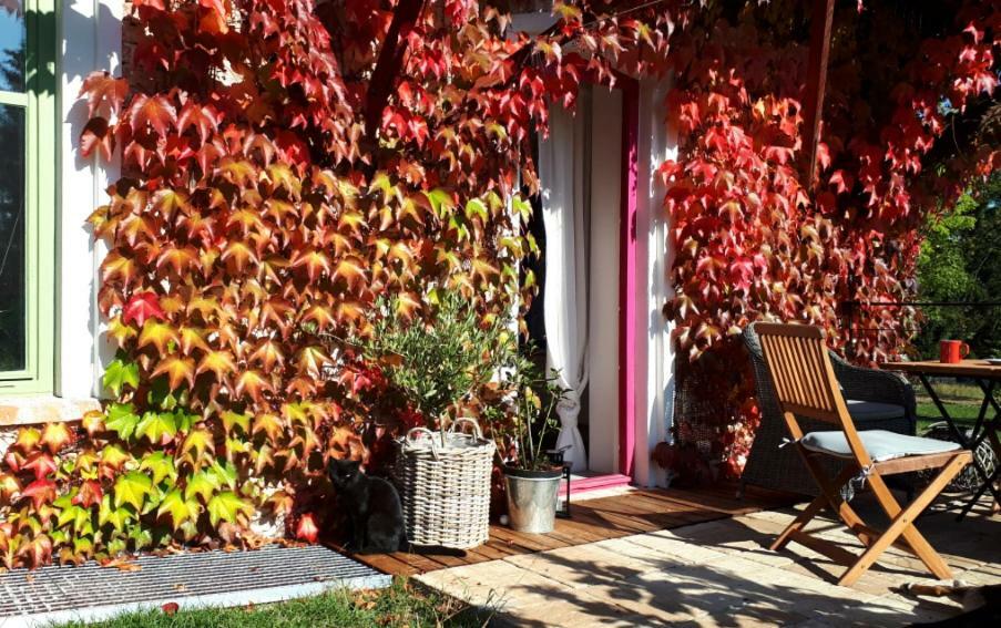 Apartmany Ruprechtov Hroznetin Bagian luar foto